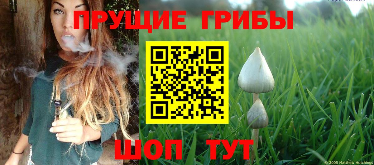 Кунгур  закладка  Вход с VPN  Псилоцибиновые грибы мухоморы  Псилоцибиновые грибы GOLDEN TEACHER 